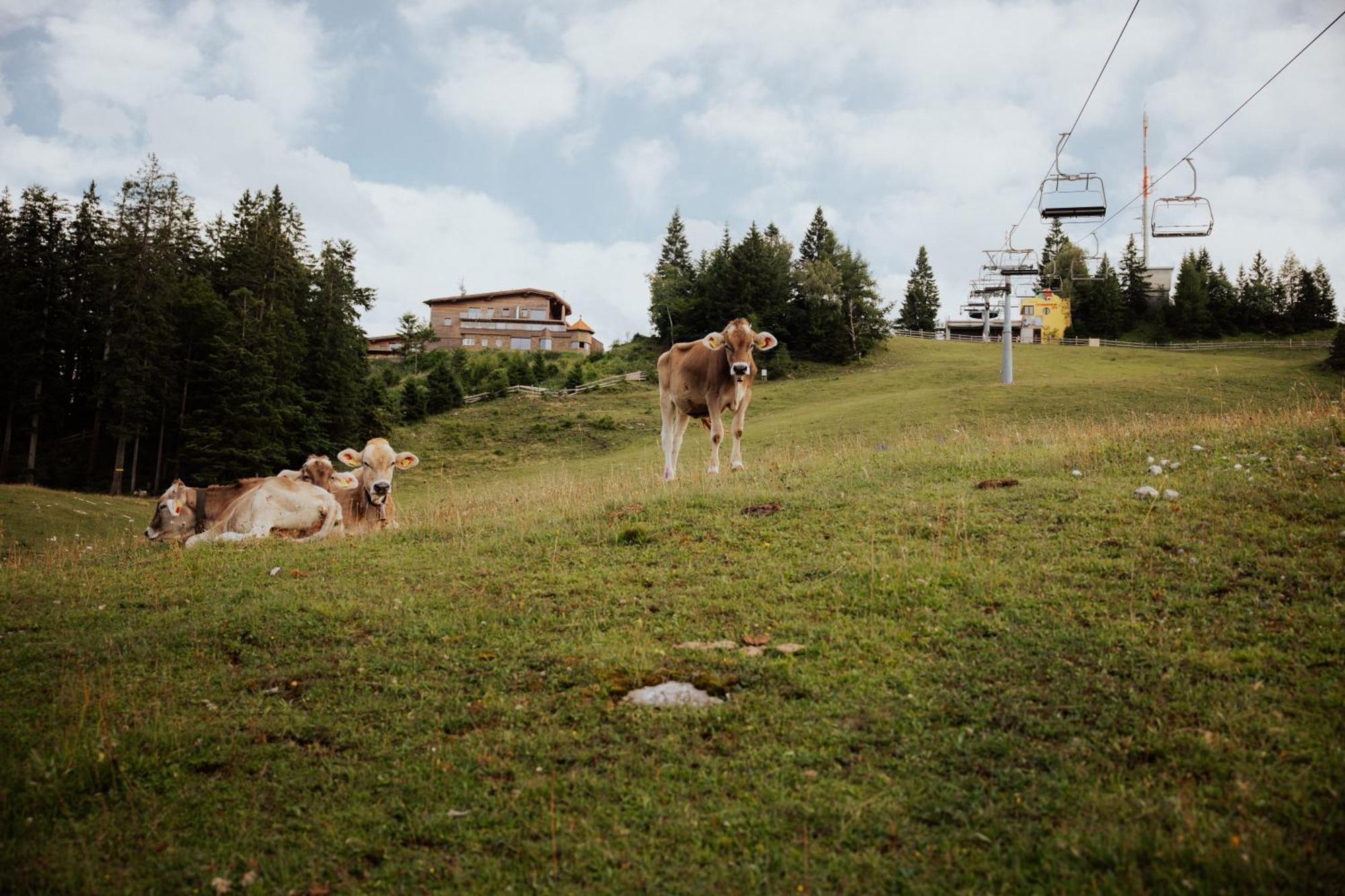 Chalet G12 - Mountain Luxury Apartments Seefeld in Tirol Exteriér fotografie