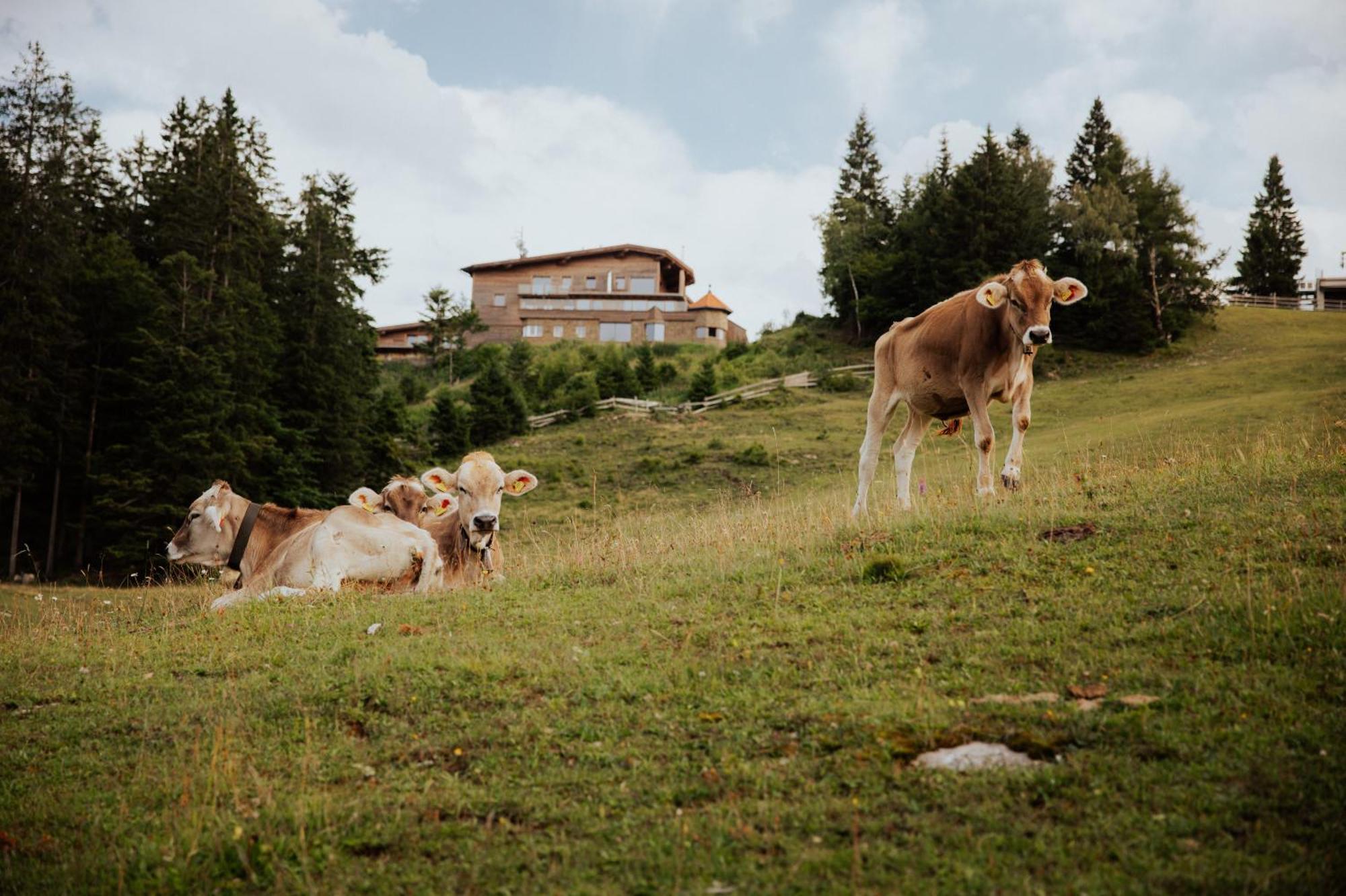 Chalet G12 - Mountain Luxury Apartments Seefeld in Tirol Exteriér fotografie